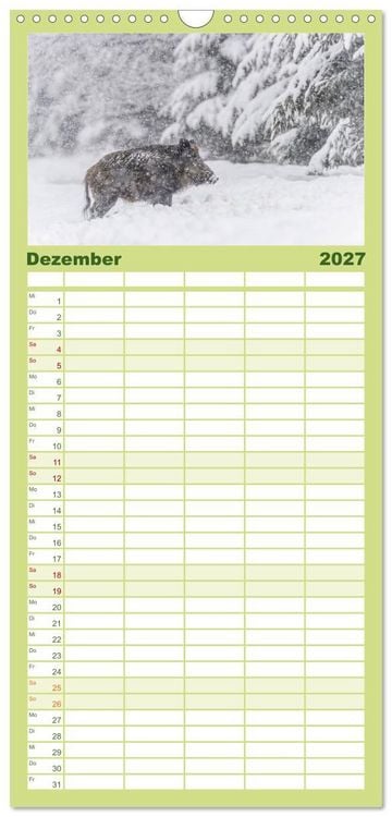 Produktbild: Familienplaner 2027 - Wildschweine &ndash; Wildlife Fotografien mit 5 Spalten (Wandkalender, 21 x 45 cm) CALVENDO