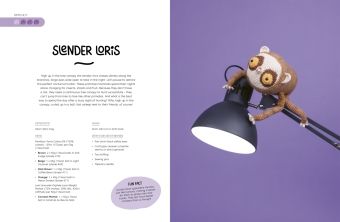 Produktbild: Irene Strange's Curious Crochet Creatures
