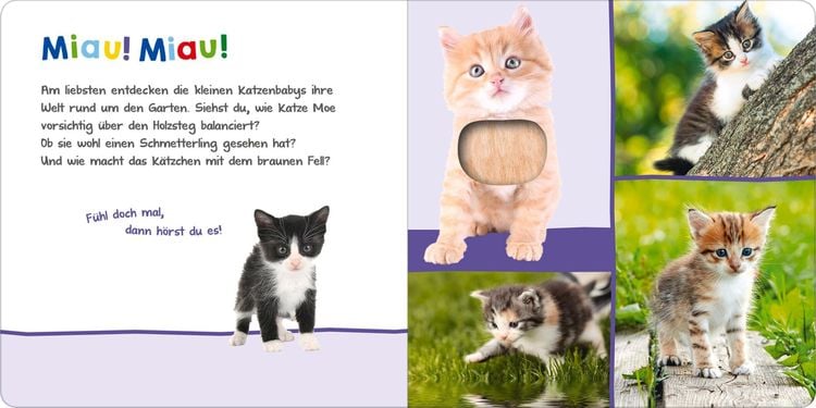 Hör mal rein, wer kann das sein? – Tierkinder im Frühling