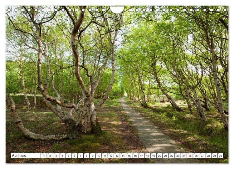 Produktbild: Baltrum - Momente einer Reise (Wandkalender 2027 DIN A4 quer), CALVENDO Monatskalender