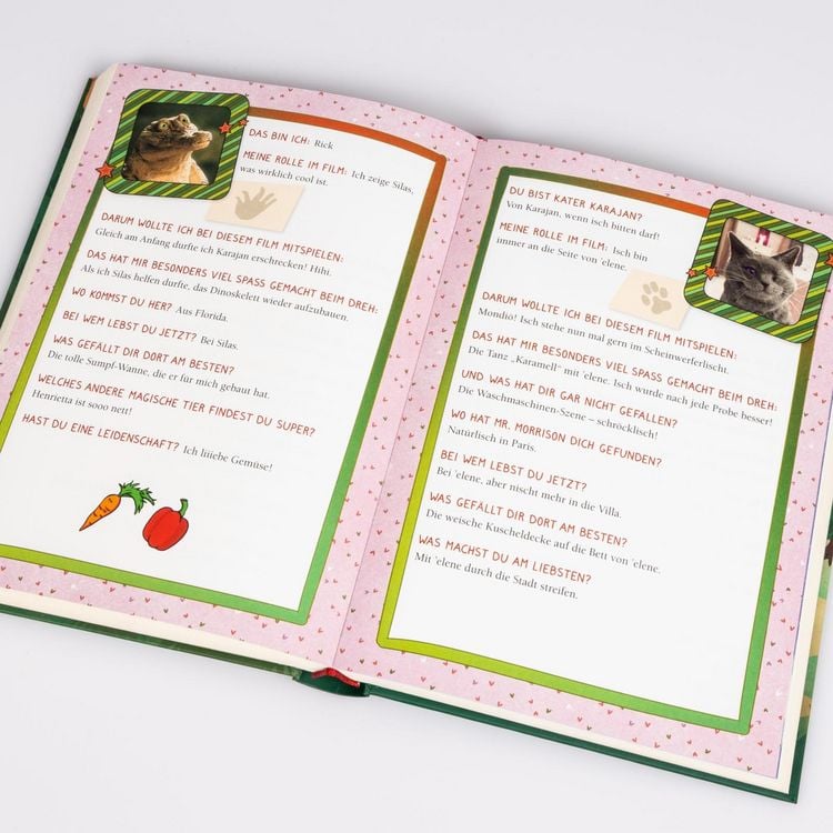 Produktbild: Die Schule der magischen Tiere Erstausstattung 3: Das Buch zum Film