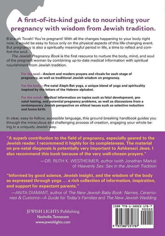 Produktbild: The Jewish Pregnancy Book