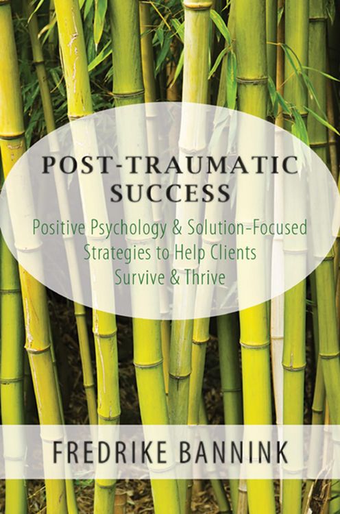 Produktbild: Post Traumatic Success