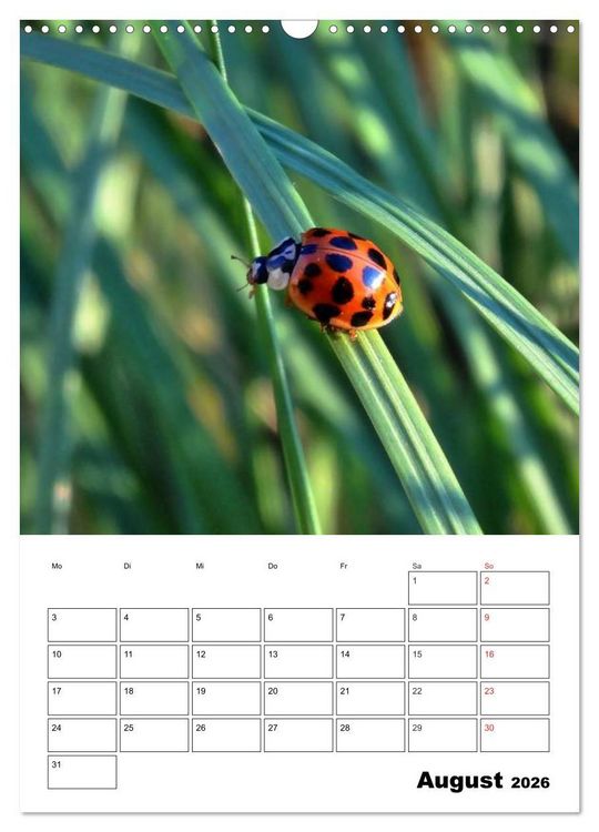 Produktbild: Heimische Wildtiere Terminplaner (Wandkalender 2026 DIN A3 hoch), CALVENDO Monatskalender