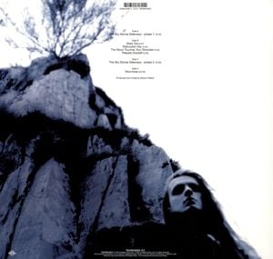 Produktbild: The Sky Moves Sideways (Gatefold Black 2LP)