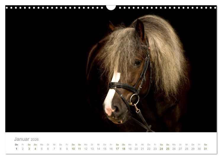 Produktbild: Faszination und Vielfalt - Schwarzw&auml;lder Kaltblut (Wandkalender 2026 DIN A3 quer), CALVENDO Monatskalender