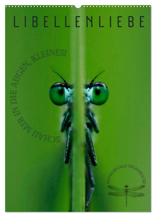 Produktbild: LibellenLiebe - Schau mir in die Augen, Kleines! (Wandkalender 2026 DIN A2 hoch), CALVENDO Monatskalender