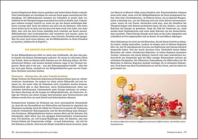 Produktbild: Schlank mit Darm - Die Darm-Di&auml;t - Aktualisierte Neuausgabe