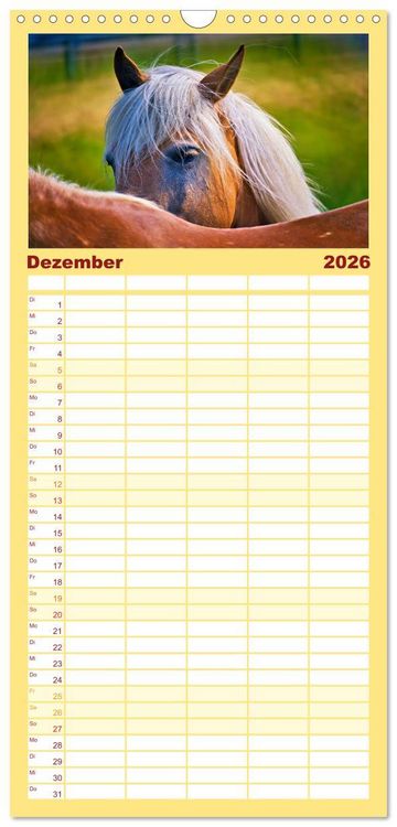 Produktbild: Familienplaner 2026 - Die besonderen Haflinger-Pferde mit 5 Spalten (Wandkalender, 21 x 45 cm) CALVENDO