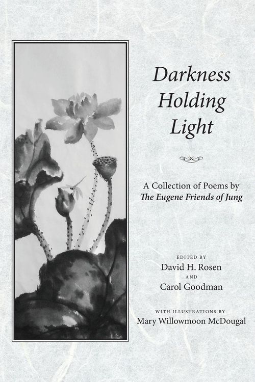 Produktbild: Darkness Holding Light