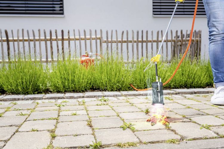 Produktbild: Gloria Haus und Garten 000274.0000 Thermoflamm Professional E+ Abflammger&auml;t