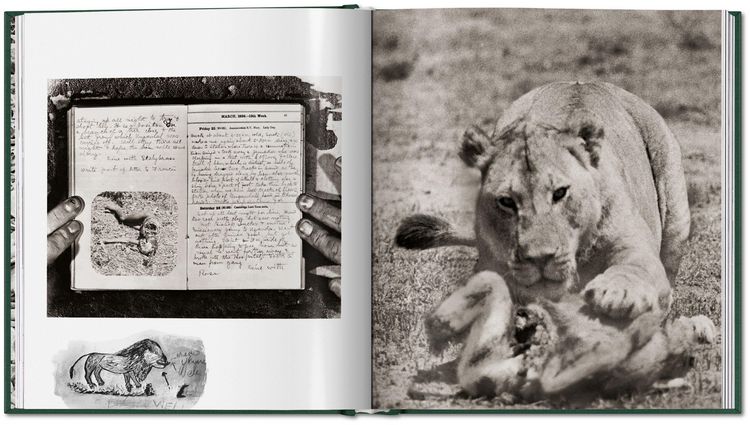 Produktbild: Peter Beard