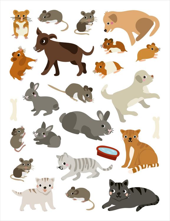 Produktbild: Mein allererster Stickerblock &ndash; Tierkinder