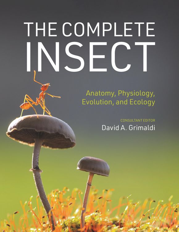 Produktbild: The Complete Insect