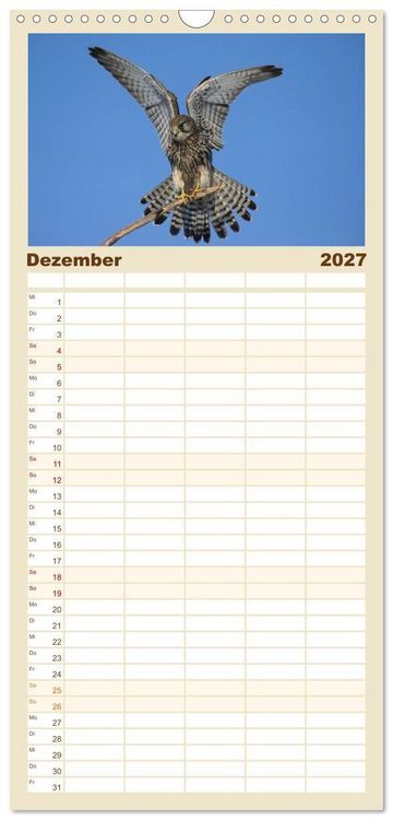 Produktbild: Familienplaner 2027 - Heimische Eulen und Greife mit 5 Spalten (Wandkalender, 21 x 45 cm) CALVENDO