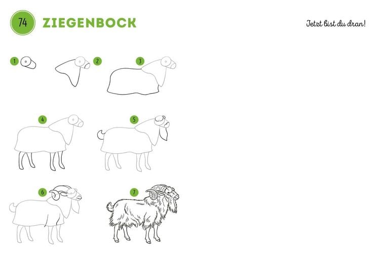Produktbild: 300 Motive zeichnen &ndash;&nbsp;Tiere