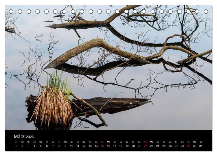 Produktbild: Gesehen auf - R&uuml;gen und Hiddensee (Tischkalender 2026 DIN A5 quer), CALVENDO Monatskalender