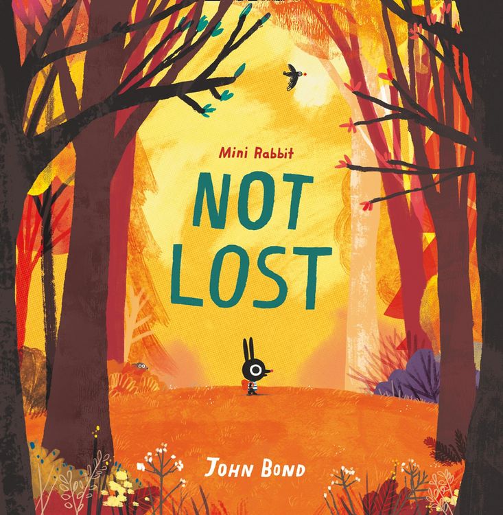 Produktbild: Mini Rabbit Not Lost