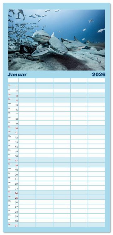 Produktbild: Familienplaner 2026 - Haie - Vorsicht gef&auml;hrlich! mit 5 Spalten (Wandkalender, 21 x 45 cm) CALVENDO