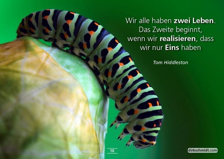 Produktbild: MUTivationsbox 2 - 101 Zitate auf Designerpostkarten für deine Motivation