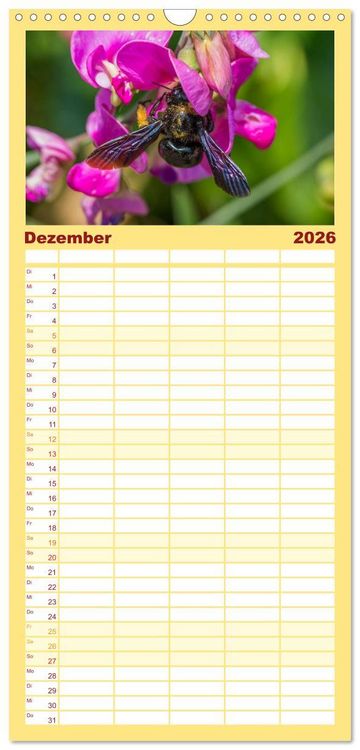 Produktbild: Familienplaner 2026 - Bienenkalender mit 5 Spalten (Wandkalender, 21 x 45 cm) CALVENDO