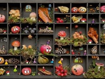 Produktbild: CALVENDO Puzzle Pankies lieben den Herbst | 1000 Teile Lege-Gr&ouml;&szlig;e 64x48cm Foto-Puzzle f&uuml;r gl&uuml;ckliche Stunden