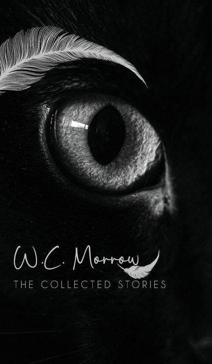 Produktbild: The Collected Stories