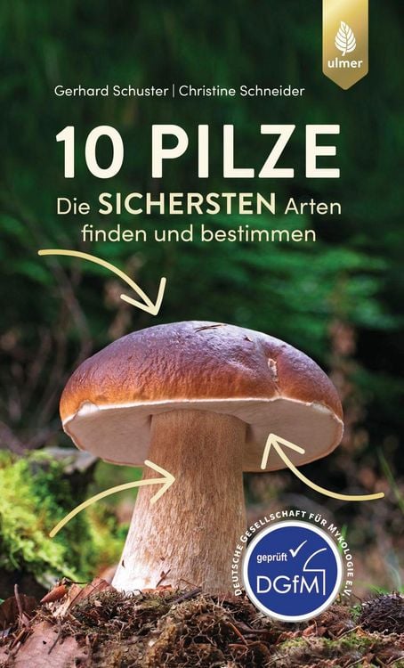 Produktbild: 10 Pilze