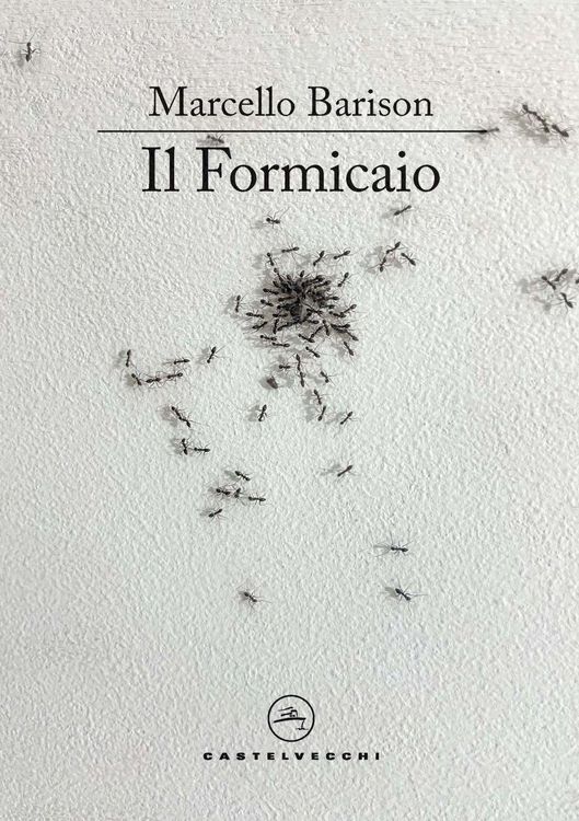 Produktbild: Il formicaio. Un resoconto