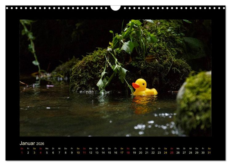Produktbild: Enten-Rennen (Wandkalender 2026 DIN A3 quer), CALVENDO Monatskalender