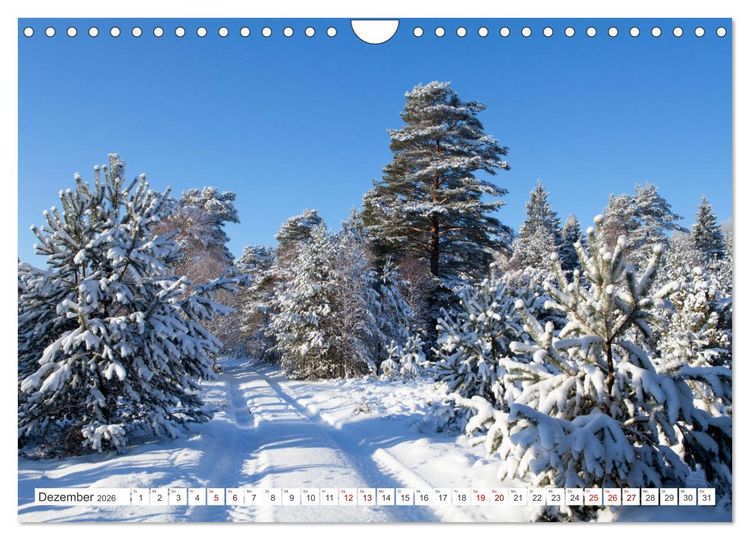 Produktbild: Die L&uuml;neburger Heide - Ausflugsziel im Norden (Wandkalender 2026 DIN A4 quer), CALVENDO Monatskalender