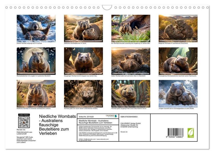 Produktbild: Niedliche Wombats - Australiens flauschige Beuteltiere zum Verlieben (Wandkalender 2027 DIN A3 quer), CALVENDO Monatskalender
