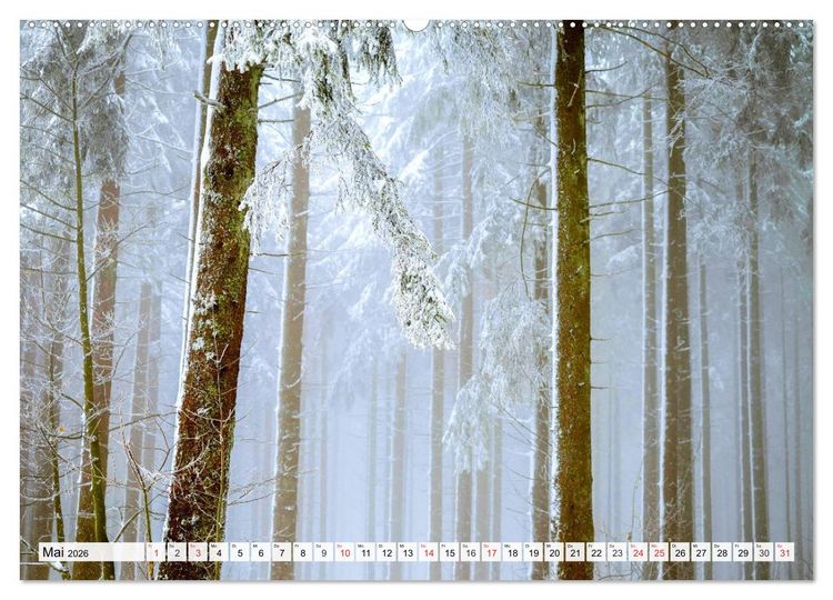 Produktbild: Eiszeit. Winter und Frost in der Natur (Wandkalender 2026 DIN A2 quer), CALVENDO Monatskalender