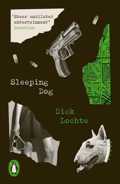 Produktbild: Sleeping Dog