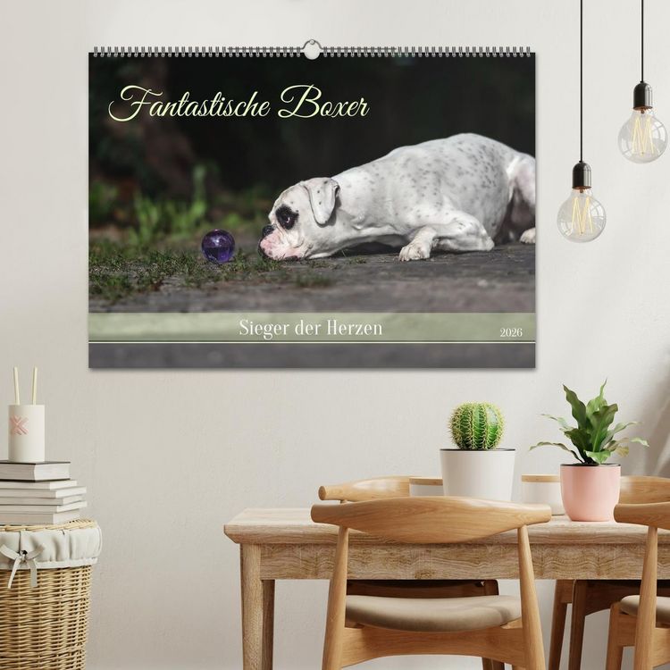 Produktbild: Fantastische Boxer - Sieger der Herzen (Wandkalender 2026 DIN A2 quer), CALVENDO Monatskalender