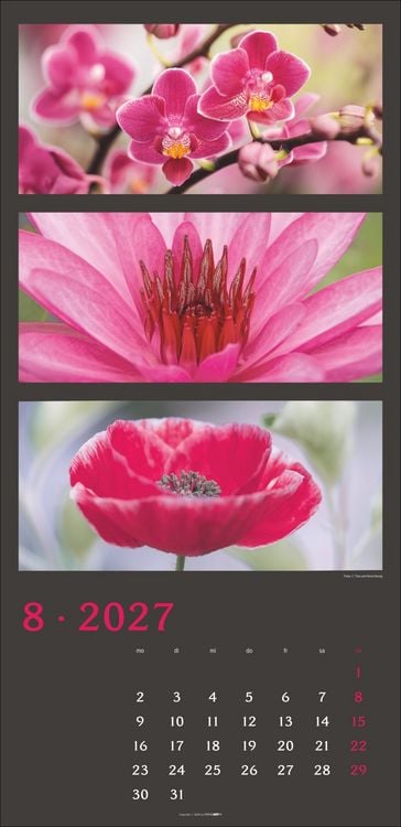 Produktbild: Die Farben der Natur Kalender 2027