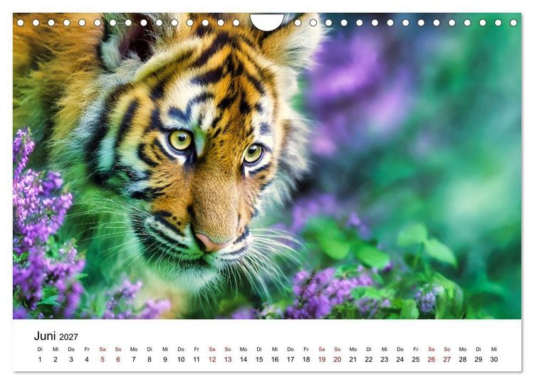 Produktbild: Wild.Edel.Stark. - Im Bann der Tiger (Wandkalender 2027 DIN A4 quer), CALVENDO Monatskalender