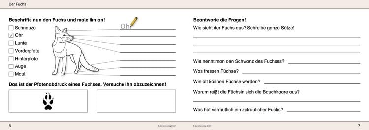 Produktbild: Ich kenne Waldtiere / Haus- und Hoftiere / Insekten und Spinnen. 3 Schülerarbeitshefte im Kombi für die 2. bis 4. Klasse