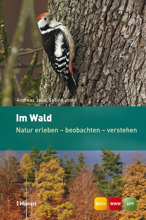 Produktbild: Im Wald
