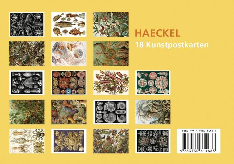Produktbild: Postkarten-Set Ernst Haeckel