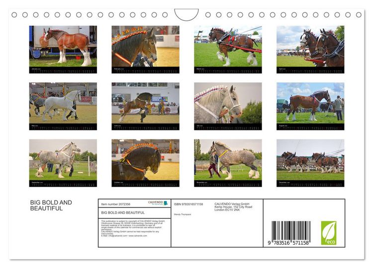 Produktbild: BIG BOLD AND BEAUTIFUL (Wall Calendar 2026 DIN A4 landscape), CALVENDO 12 Month Wall Calendar