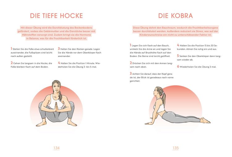 Produktbild: Vom Kinderwunsch zum Wunschkind