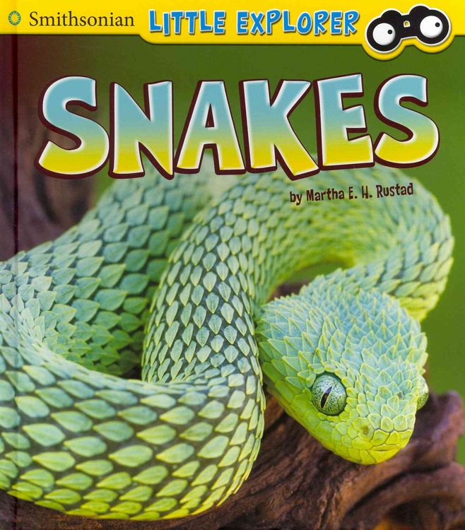 Produktbild: Snakes