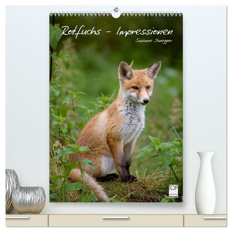 Produktbild: Rotfuchs - Impressionen (hochwertiger Premium Wandkalender 2026 DIN A2 hoch), Kunstdruck in Hochglanz