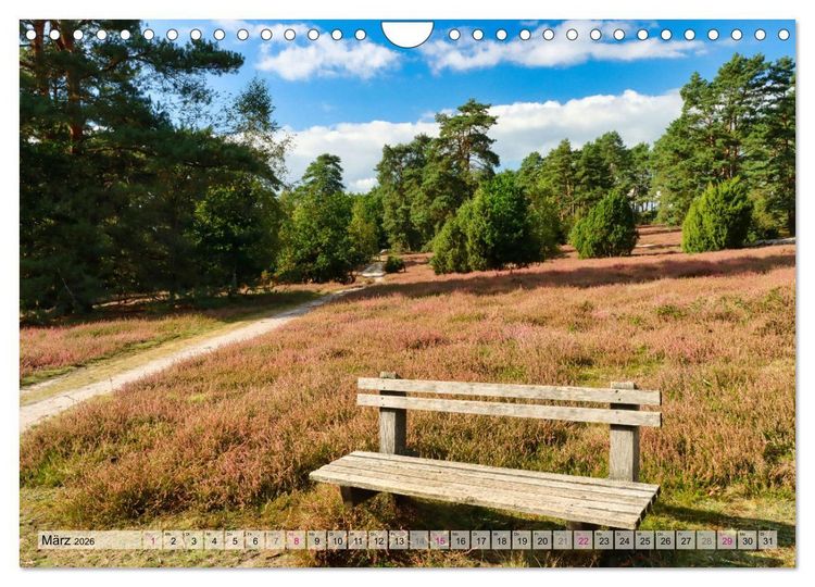 Produktbild: L&uuml;neburger S&uuml;dheide (Wandkalender 2026 DIN A4 quer), CALVENDO Monatskalender