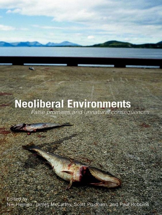 Produktbild: Neoliberal Environments