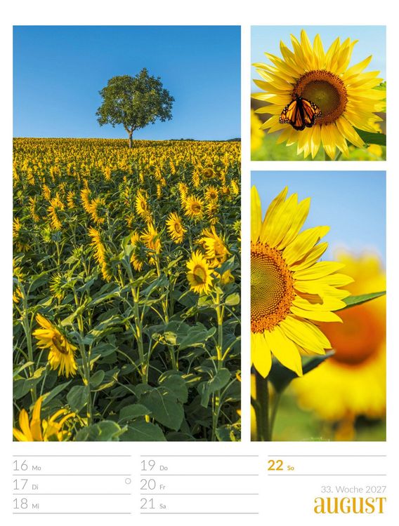 Produktbild: Farben der Natur Wochenplaner Kalender 2027