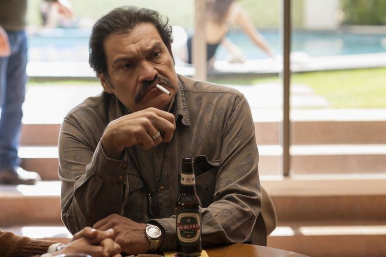 Produktbild: NARCOS: MEXICO - Die komplette Serie (Staffel 1 - 3) LTD. [12 DVDs]