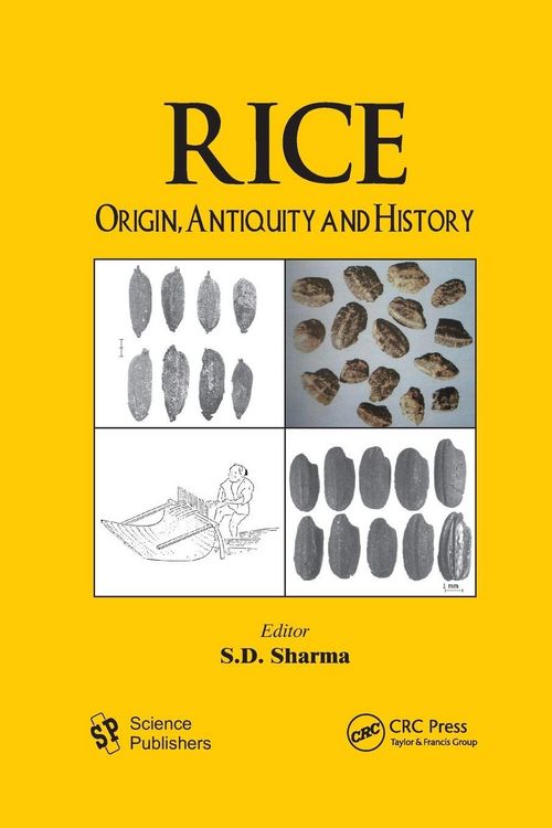 Produktbild: Rice