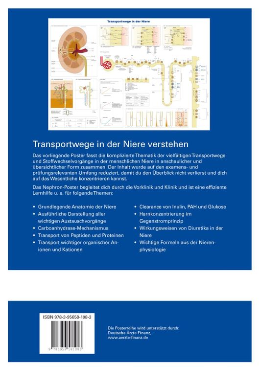 Produktbild: Nephron-Poster